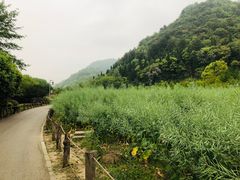 -贵阳市花溪国家城市湿地公园