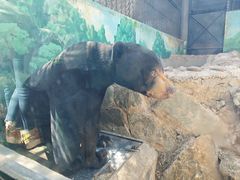 -昆明动物园