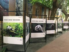 -西安电影制片厂