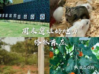 每到周末和节假日的时候,家长都会带宝宝出门游玩