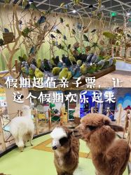-七巧国萌宠乐园(龙湖天街店)