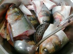 -老杨砂锅鱼庄