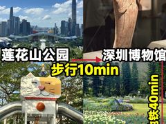 -大梅沙海滨公园