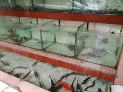 -荣兴河鲜楼(江口店)