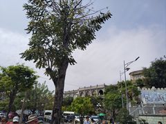 -芽庄大教堂