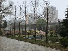 -大连市第二十四中学