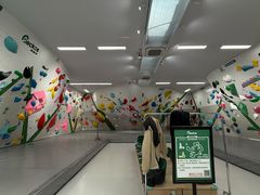 -绿壁虎攀岩基地(Tcar店)