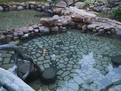 -龙佳生态温泉山庄