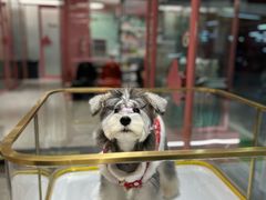 -FAELING PETS美天灵宠物(合生汇店)