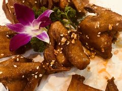 特色盐焗乳鸽-顺德美食坊(南沙分店)