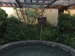-仁爱团泊湖温泉中心
