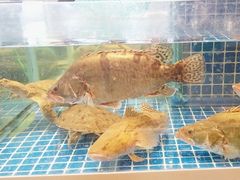 -阿明小菜·海鲜·上海菜(梅陇店)