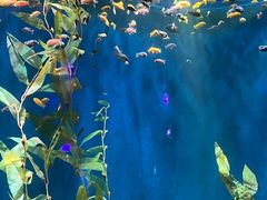 -欢乐海岸海洋奇梦馆