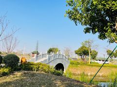 -王借岗森林公园