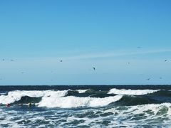 -威海国际海水浴场旅游区