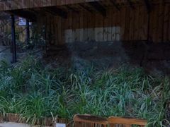 -天怡·鱼工厂(梅溪湖店)