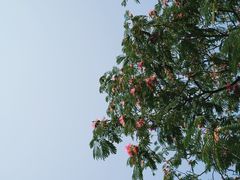 -观潮胜地公园