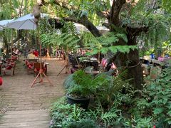 -Fern Forest Cafe