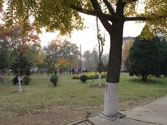 -辽宁大学(崇山校区)