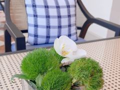 -深圳威尼斯英迪格酒店-邻芙花廊下午茶·NINFA GALLERY·蛋糕·咖啡