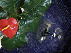 -钓鱼岛洗浴休闲会馆(卫星路店)