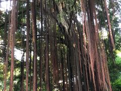 -晓港公园