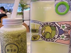 -野萃山·潮汕厚果汁(十亩地店)