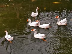 -苏州碑刻博物馆