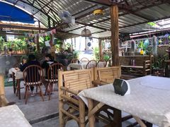 -Jungle Kitchen