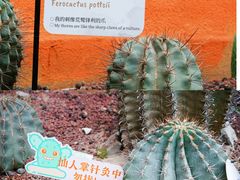 -正佳雨林生态植物园
