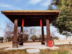 -白塔湖国家湿地公园