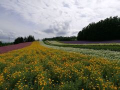 -富田农场