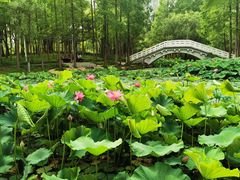 -大宁灵石公园西门票处