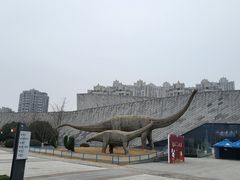 -安徽省地质博物馆