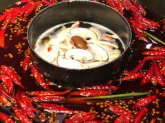 -蜀大侠火锅(寰球文化地标·总府店)