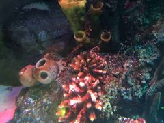 -沈阳海洋探索中心