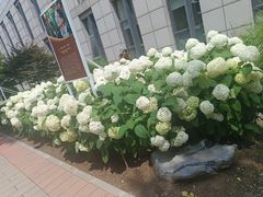 -中国农业博物馆