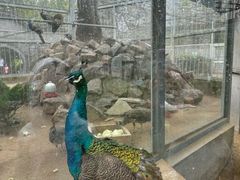 -水绘园