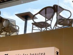 -BeauTea水仙(coco park店)