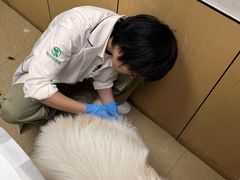 -瑞派天使宠物医院·神经外科·骨科·核磁(洛川中路店)