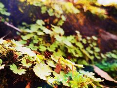 -终南山南五台景区