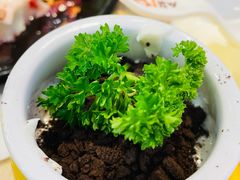 奥利奥水果盆栽-A货肉蟹煲(印象城店)
