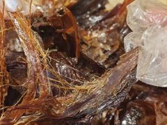 -郴州特产舜华临武鸭(郴州西站店)