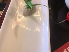 -禧鳳記·猪肚鸡火锅(玖洲道店)