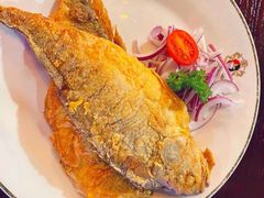 -马迭尔德式西餐精酿啤酒屋(中央大街店)