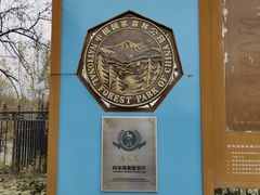 -北京鹫峰国家森林公园