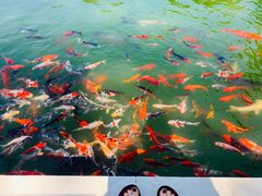 -新川办餐厅