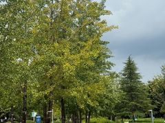 -浙江农林大学(东湖校区)