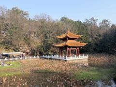 -富乐山