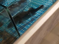 -妈妈菜舟山海鲜(定海古城店)